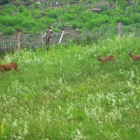 Casa de Férias Goestling Göstling an der Ybbs