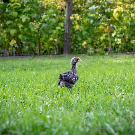 Goestling * Göstling an der Ybbs