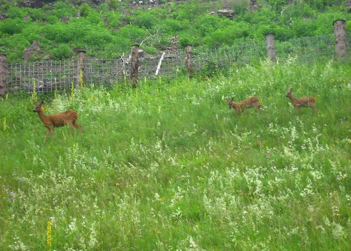 Nyaraló Goestling Göstling an der Ybbs