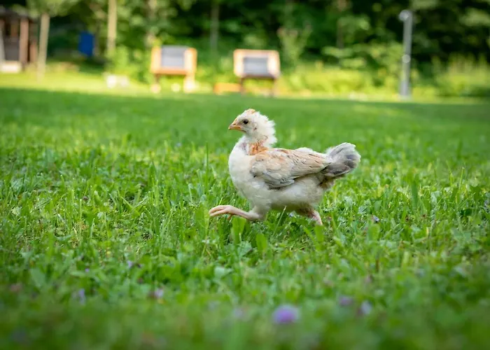 Goestling Göstling an der Ybbs